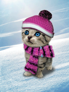 CHATS-G-FAIT FROID